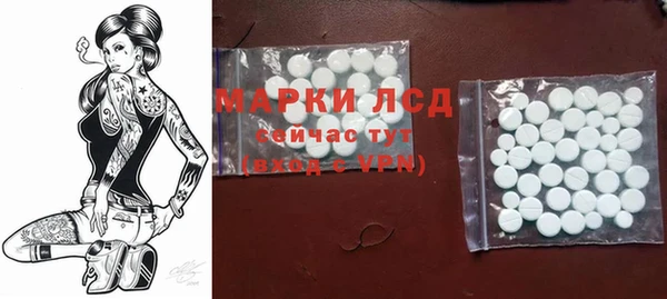 тгк Беломорск