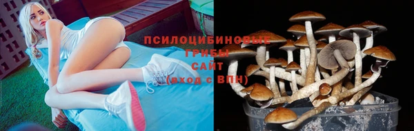 мет Богородицк