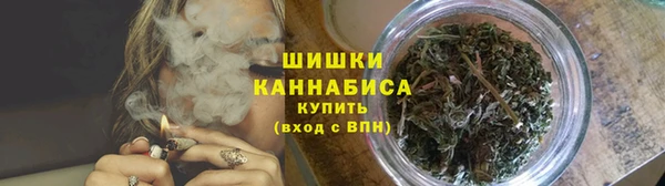 ПСИЛОЦИБИНОВЫЕ ГРИБЫ Богданович
