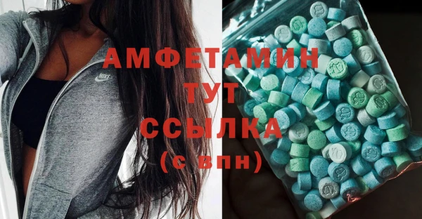 ПСИЛОЦИБИНОВЫЕ ГРИБЫ Богданович