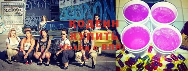 дмт Богородск