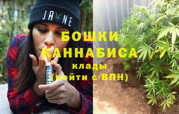дмт Богородск
