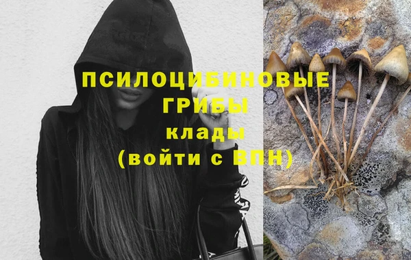 ПСИЛОЦИБИНОВЫЕ ГРИБЫ Богданович