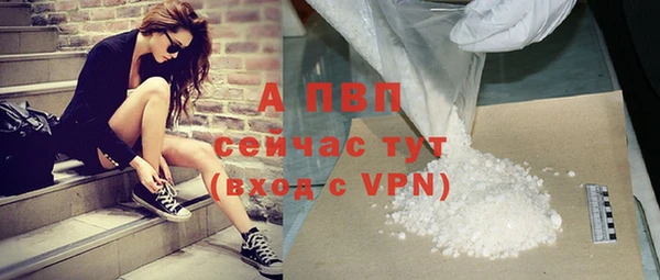 ПСИЛОЦИБИНОВЫЕ ГРИБЫ Богданович